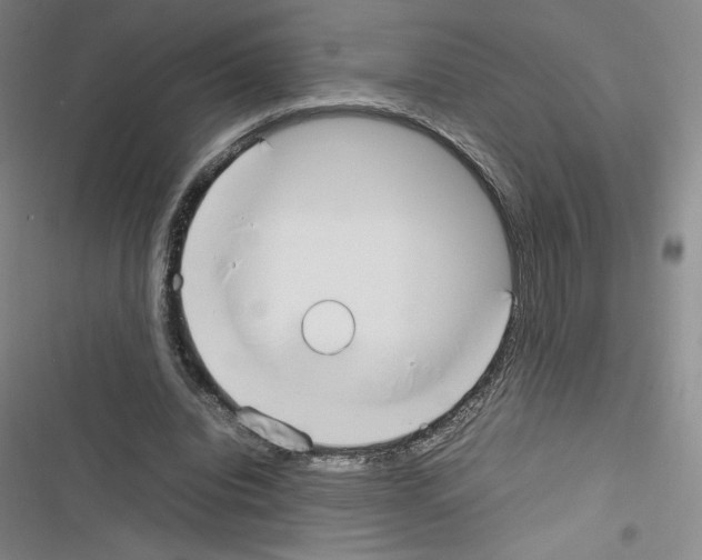 X0000116330440201001131028