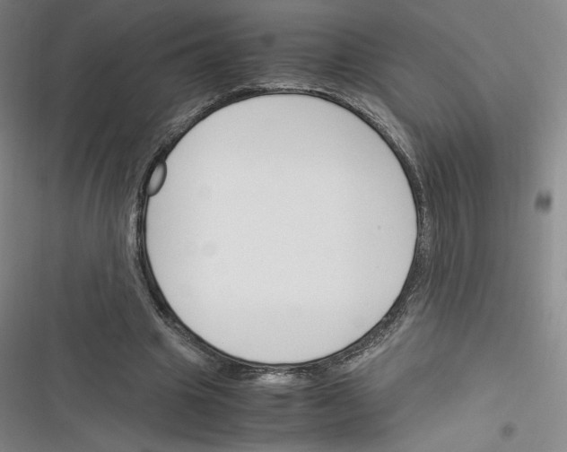 X0000116330441201001131028