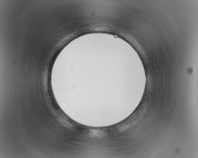 X0000116330442201001131028