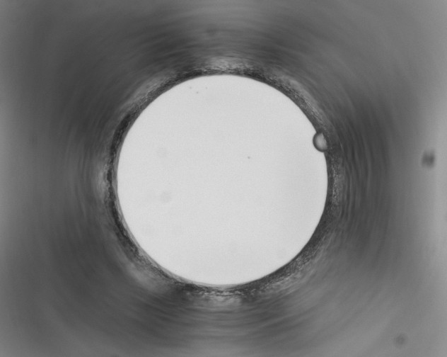X0000116330443201001131028