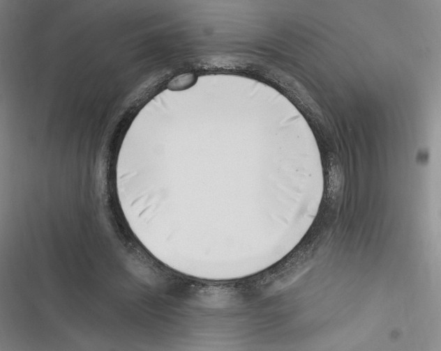 X0000116330444201001131028