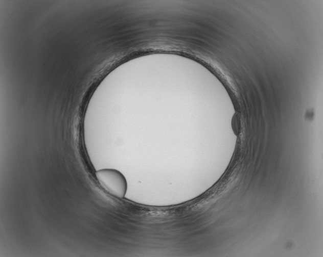 X0000116330445201001131028