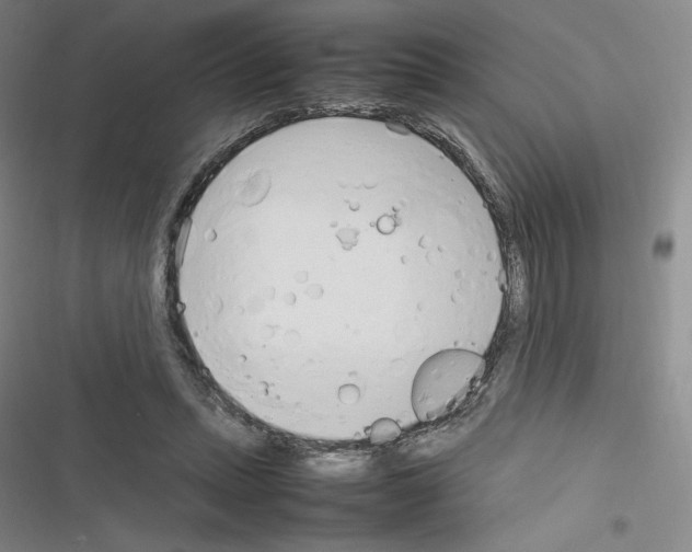 X0000116330447201001131028