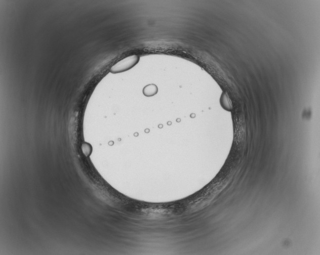 X0000116330448201001131028