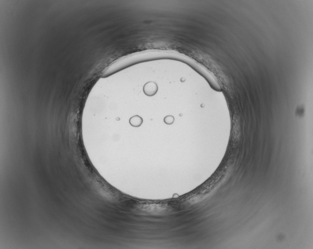 X0000116330449201001131028