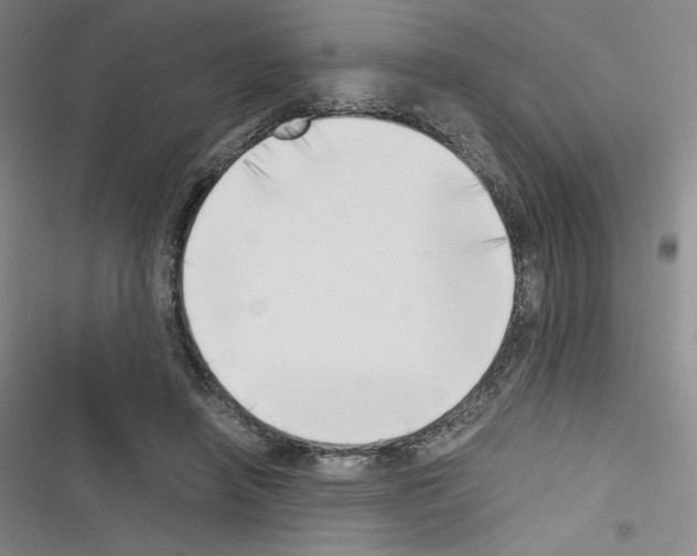 X0000116330450201001131028