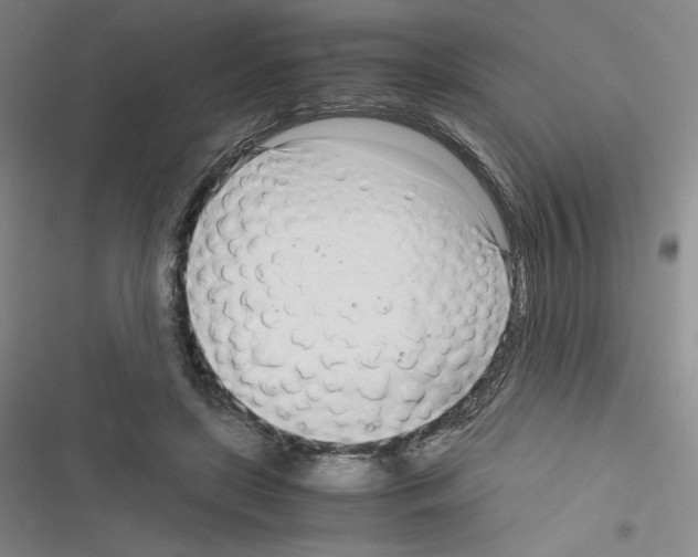 X0000116330451201001131028