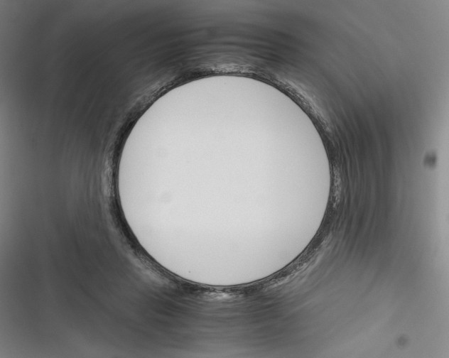 X0000116330453201001131028