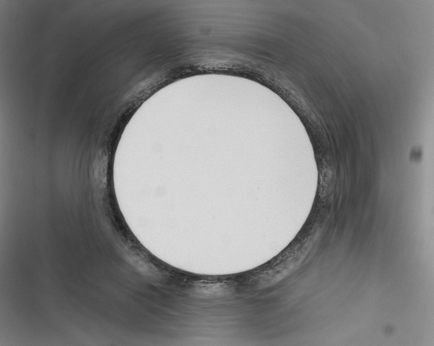 X0000116330454201001131028