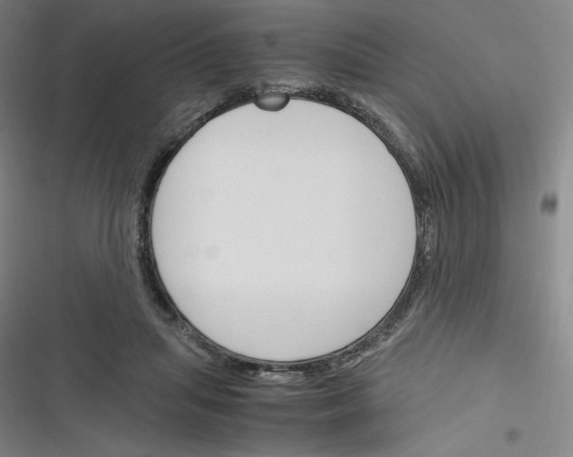 X0000116330455201001131028