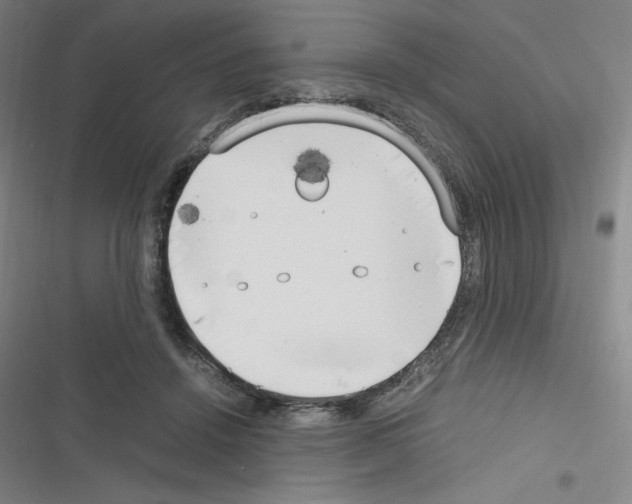 X0000116330456201001131028