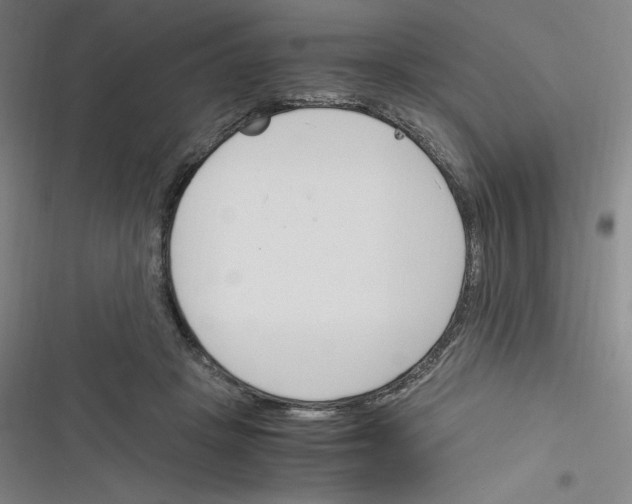 X0000116330457201001131028