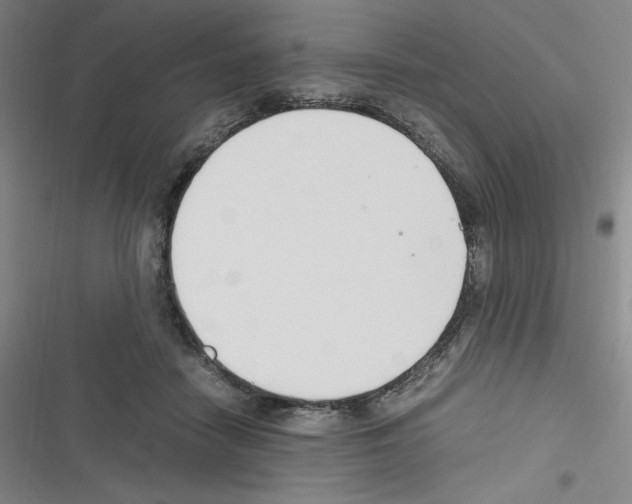 X0000116330458201001131028