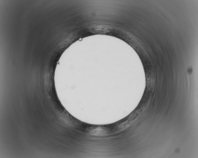 X0000116330460201001131028
