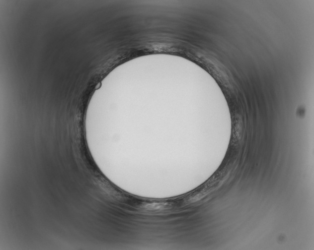 X0000116330461201001131028