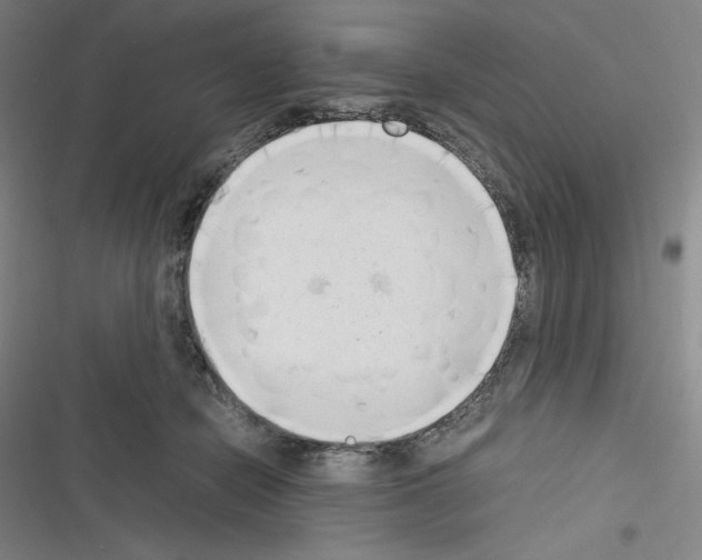 X0000116330462201001131028
