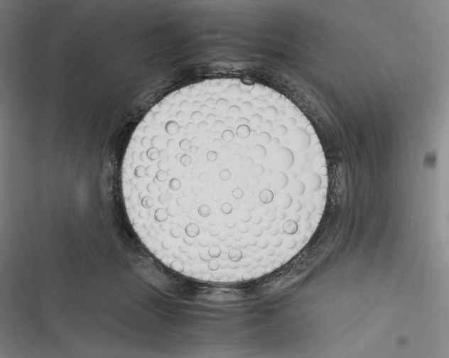X0000116330463201001131028