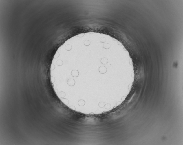 X0000116330464201001131028
