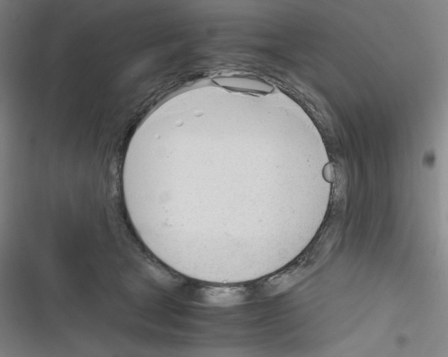 X0000116330465201001131028