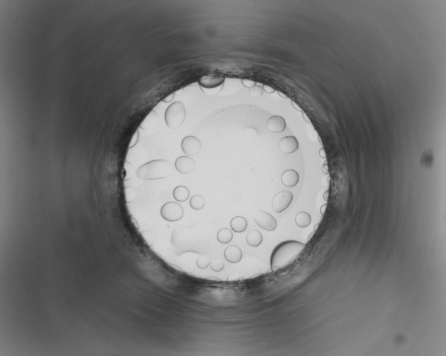 X0000116330466201001131028