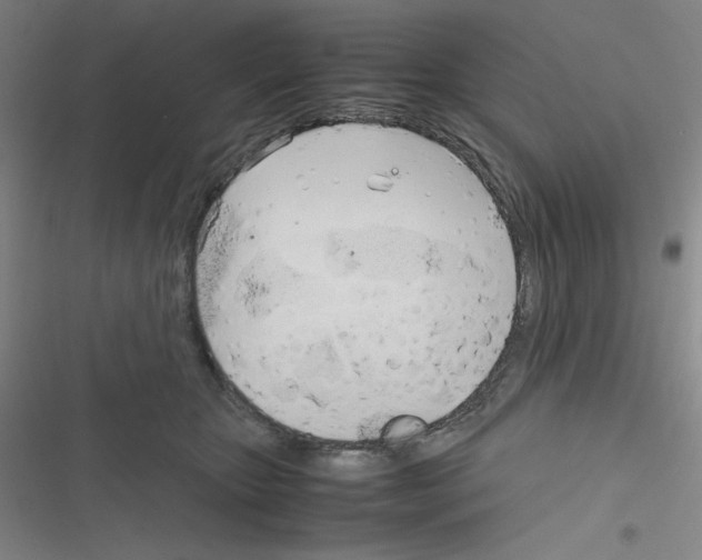 X0000116330467201001131028