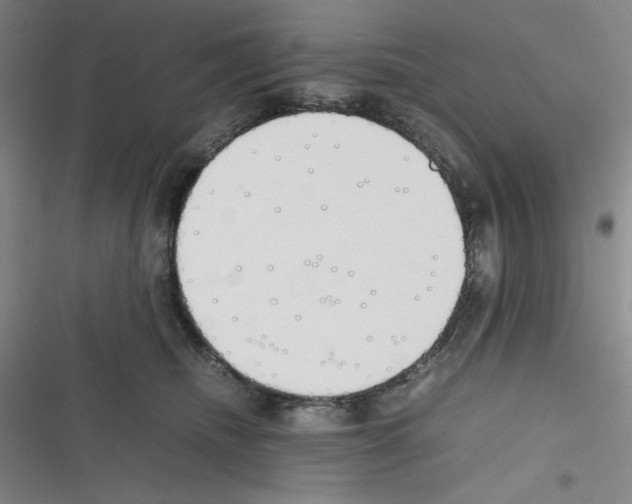 X0000116330468201001131028