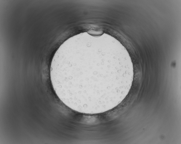 X0000116330469201001131028