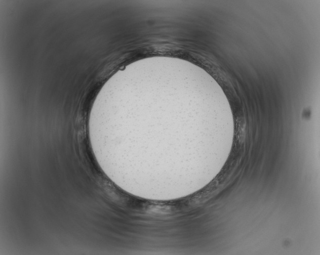 X0000116330471201001131028