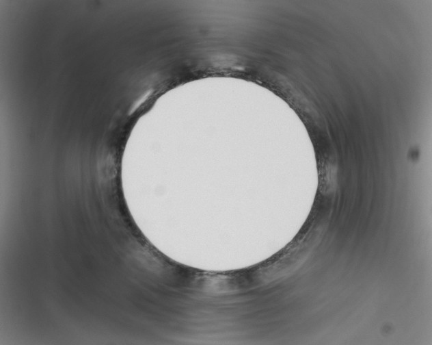 X0000116330472201001131028