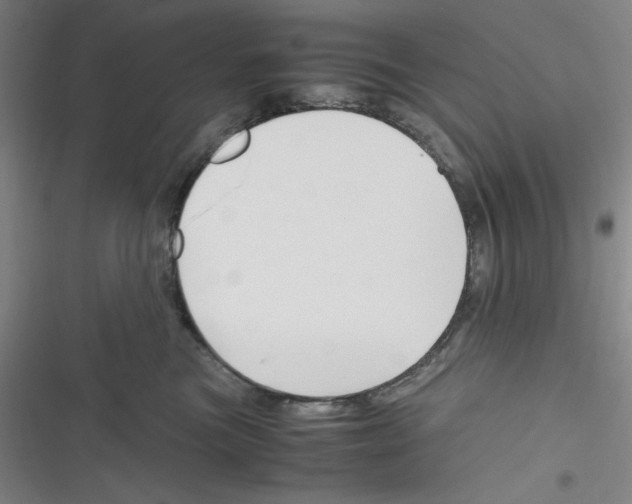 X0000116330473201001131028
