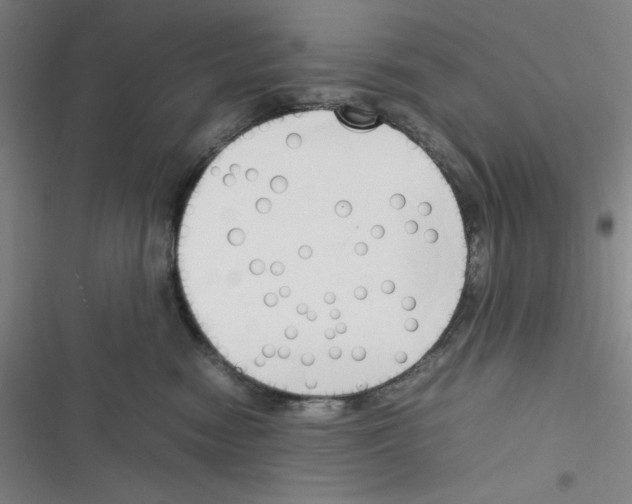 X0000116330474201001131028