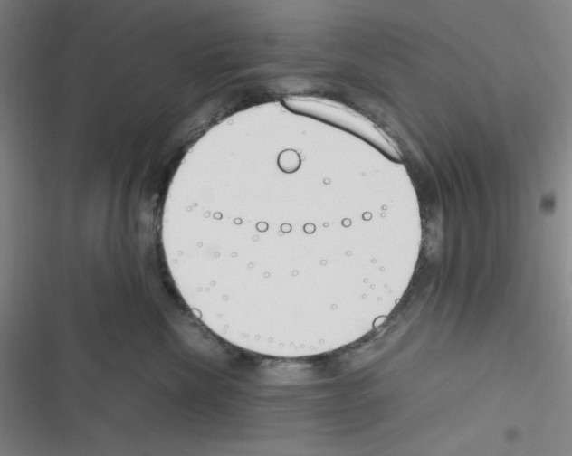 X0000116330476201001131028