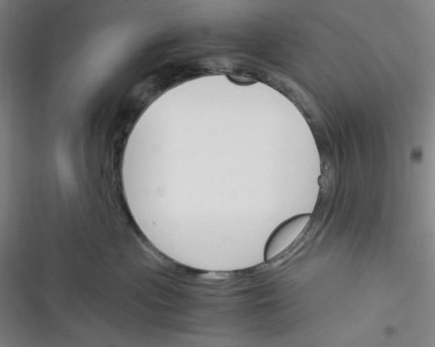X0000116330477201001131028