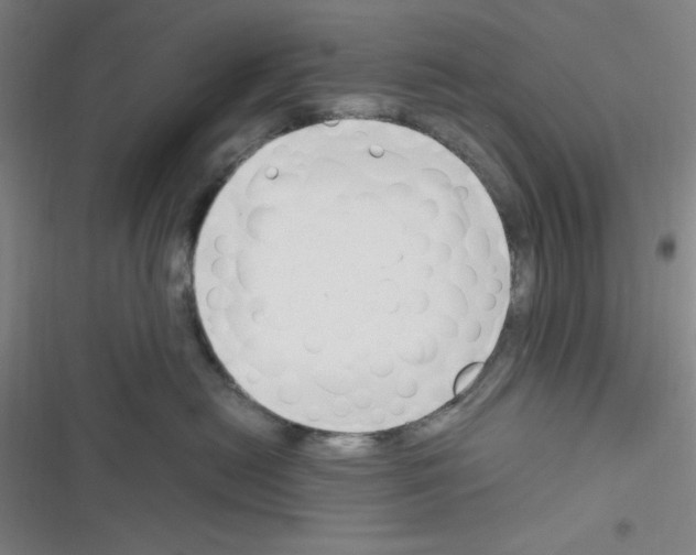 X0000116330478201001131028