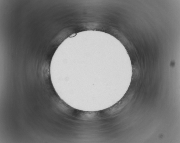 X0000116330479201001131028