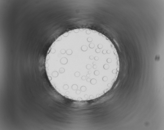 X0000116330480201001131028
