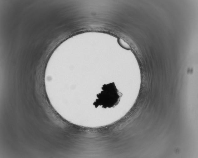 X0000116330481201001131027