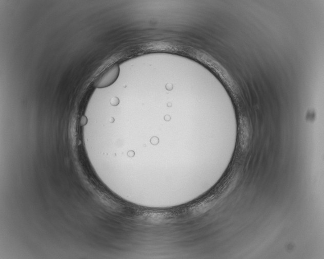 X0000116330482201001131027