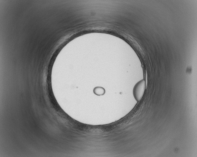 X0000116330483201001131027