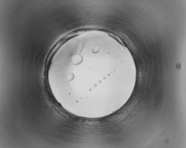 X0000116330484201001131027