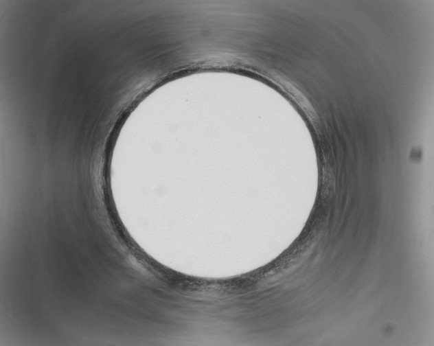 X0000116330485201001131027