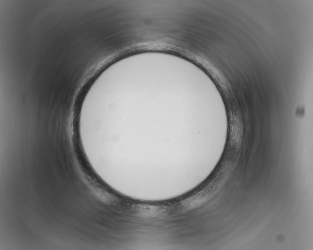 X0000116330486201001131027