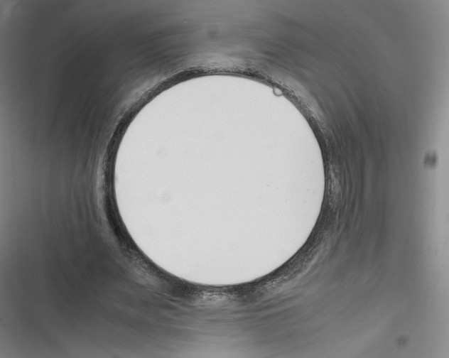 X0000116330487201001131027