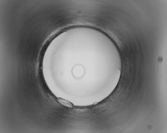 X0000116330488201001131027