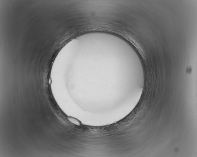X0000116330489201001131027