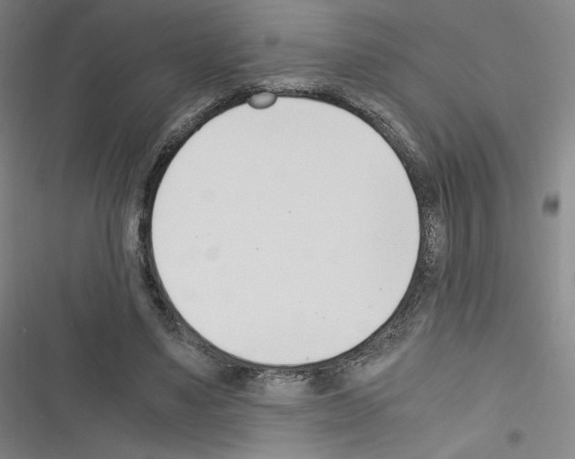 X0000116330491201001131027