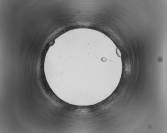 X0000116330492201001131027