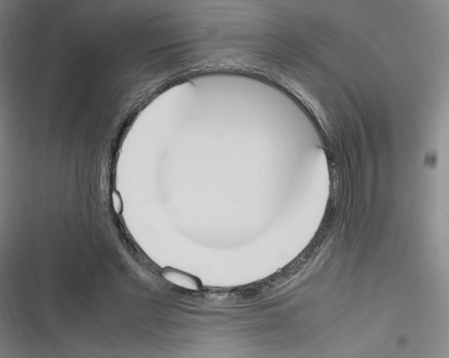 X0000116330493201001131027