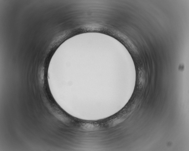 X0000116330494201001131027