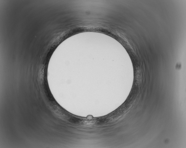 X0000116330495201001131027